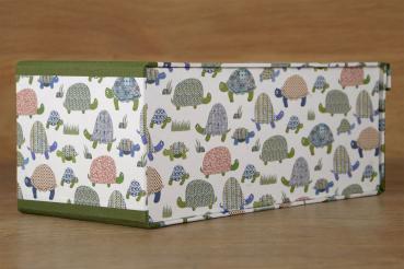 photo album and photo box "turtles"